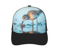 Long-Billed Curlew Baseball Caps Classic Hats Adjustable Hip Hop Hat Trendy Sport Cap for Men Women