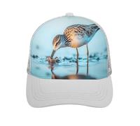 Long-Billed Curlew Baseball Caps Classic Hats Adjustable Hip Hop Hat Trendy Sport Cap for Men Women