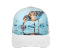 Long-Billed Curlew Baseball Caps Classic Hats Adjustable Hip Hop Hat Trendy Sport Cap for Men Women