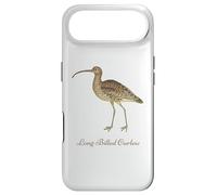 Long-Billed Curlew Bird Ornithology Case for iPhone Air
