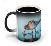 Long-Billed Curlew Funny Ceramic Mug with Handle Heat Sensitive Coffee Mugs Magic Discoloration Cup
