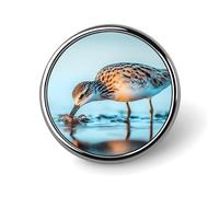 Long-billed Curlew Round Badge Pin Memorial Jewelry Gifts Metal Brooch Button for Clothing Accessory