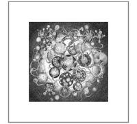 Long Distance Calling - Long Distance Calling [12" VINYL]