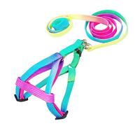 Long Dog Lead Colorful Durable Step In Breakaway Dog Harness and Leash Set Soft Nylon Adjustable Harness for Small Medium Large Puppy Breed Girl Boy Walking Training Running