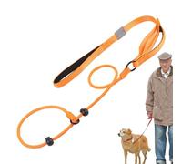 Long Dog Training | 5.6 Feet Non-Slip Rope | Reminder with Padded Handle | Easy and Sturdy Control for Medium and Large Dogs