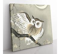 Long eared Owl by Ohara Koson Asian Japanese Canvas Wall Art Print Ready to Hang, Framed Picture for Living Room Bedroom Home Office Décor, 50x50 cm (20x20 Inch)