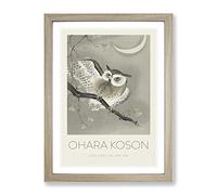 Long Eared Owl By Ohara Koson Exhibition Museum Asian Japanese Framed Wall Art Print, Ready to Hang Picture for Living Room Bedroom Home Office Décor, Oak A2 (64 x 46 cm)