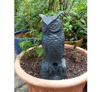 Long Eared Owl Garden Sculpture Outdoor Figurine Inspirational Gifting Bronze One Size