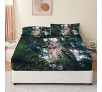Long-Eared Owl Super King Fitted Sheet Foliage Bed Sheets Deep Pocket 12 inch (30 cm) Soft Cozy 3 Piece Microfibre Bed Sheet 180x200 cm with 2 Pillowcases 50x75 cm