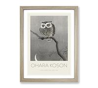 Long Eared Owl Upon A Tree By Ohara Koson Exhibition Museum Asian Japanese Framed Print | A4 Oak Framed Wall Art | Ready to Hang | Asian Floral Picture | Living Room Bedroom Lounge Office