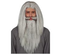 Long Grey Wizard Wig and Beard Set
