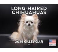 Long Haired Chihuahua Calendar 2026 Monthly Wall Calender 12 Month | American Made In The USA
