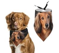 Long Haired Dachshund Dog Bandana Triangle Dog Scarf Washable Polyester Dog Bibs Cute Pet Bandana for Medium Large Dogs Puppy and Cats