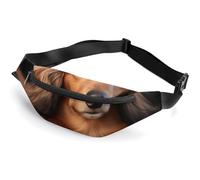 Long Haired Dachshund Fanny Packs with Zipper, Personalized Waist Bags with Multiple Pockets, Adjustable Sling Bag for Travel, Waterproof Belt Bag, Crossbody Bags for Unisex