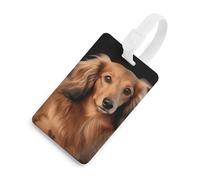 Long Haired Dachshund Luggage Tag Cute Unique Travel Bag Tag Personalized Luggage Tag ID Label Address Card and Durable Round Ring Travels Gift Airport Essentials White-Style
