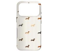 Long-Haired Dachshund, Mini Cream, Wire Doxie Cute Pattern Case for iPhone 17 Pro