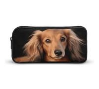 Long Haired Dachshund Pencil Case - Large Aesthetic Makeup Bag Multi-Purpose Pencil Pouch Cute Cosmetic Bag with Zipper Closure for Office, Home, Study & Travel