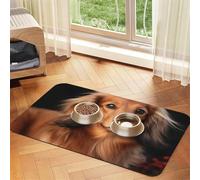 Long Haired Dachshund Pet Feeding Mat Absorbent Pu Leather Dog Cat Food Mats Contain Spills Protects Floors, Anti-Slip Rubber Backing Dog Bowl Mats Easy Clean Pet Placemats 30x45cm