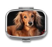 Long Haired Dachshund Pill Box 2 Compartment - Small Metal Medicine Organizer Portable Pill Case for Purse Pocket Travel Vitamin Organizer for Men Women, BPA-Free