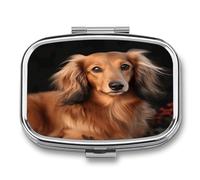 Long Haired Dachshund Pill Box 2 Compartment Small Square Pills Case Portable for Pocket Pill Organizer Travel Metal Pill Holder for Office Home Vitamin Medicine Fish Oil