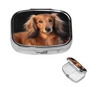 Long haired Dachshund Pill Case with Mirror Retro 2 Compartment Pill Box Small Pill Organizer for Purse or Pocket Decorative Metal Medicine Vitamin Organizer Unique Gifts