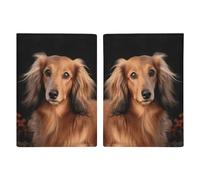 Long Haired Dachshund Printed Passport Cover Case Passport Holder For Travel Passport Cards Protector Travel Covers Wallet Case RFID Blocking Leather Card Case for Women Men, Long Haired Dachshund,