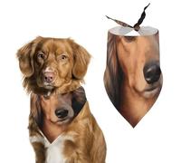 Long Haired Dachshund Printed Pet Scarf Polyester Triangle Scarf - One Size (27.6in X 11.8in)