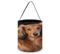 Long Haired Dachshund Printing Candy Basket Halloween Trick Or Treat Bags Gift Bucket For Halloween Party Or Daily Supplies, Style, One Size