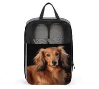 Long Haired Dachshund Shoe Bags with Zipper, Portable Shoe Organizer with Handle, Personalized Shoes Tote Bag for Travel, Waterproof Shoes Carrier, Storage Pouch