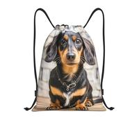 Long Haired Dachshund Unisex Gym Sack Lightweight Drawstring Backpack Waterproof Pe Bag For Climbing Sports Beach
