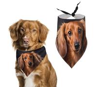 Long Haired DachshundPet Scarf Dog Bandana for Small Medium Large Exquisite Unique Cat Dogs Kerchief Premium Fabric Cute Triangle Cat Dogs Bibs Scarf