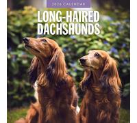Long-haired Dachshunds - 2026 Square Wall Calendar - by Red Robin Publishing