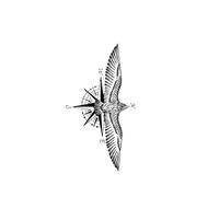 Long-lasting Waterproof Tattoo Sticker Non-reflective Temporary Tattoo Eagle Compass Pattern Fake Tattoo On Back Of Arm