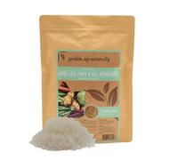 Long Life Fruit and Veg Nematodes 20m² Nematode Pearls Soil Pest Control for Raised Beds Pots Vegetable Plants Carrot Fly Cabbage Root Fly UK