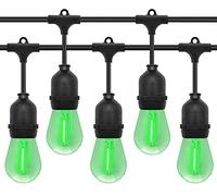 Long Life Lamp Company 10 Bulb 10 Meter Outdoor LED Festoon String Lights Coloured Green 1w Vintage Bulbs IP64 240v Heavy Duty