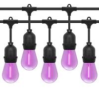 Long Life Lamp Company 10 Bulb 10 Meter Outdoor LED Festoon String Lights Coloured Purple 1w Vintage Bulbs IP64 240v Heavy Duty