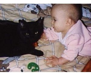 Long Lost Cousins; Tough Love; Mother's Cure; Cat's Meow