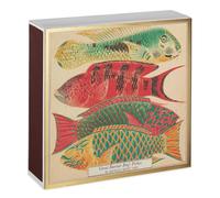 Long Matches, Great Barrier Reef Fishes Giant Matchbox Gift, Extra Long Luxury Matches, Giant XL Matches, Fish Matchbox, Candles Gift, Coloured Tip Matches, Fireside Matches