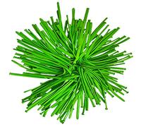 Long Modelling 260Q Latex Twisting Balloons Green - Clown Animal Making for Kids Birthday Party Wedding Decoration Magic Pack of 100
