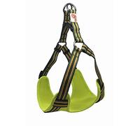 Long Paws Comfort Reflective Padded Step-in Dog Harness, Medium, Green
