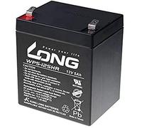 LONG PBLO-12V005-F2AH 12V 5Ah Lead-Acid Battery High Rate (WP5-12SHR F2)