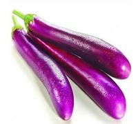 Long Purple Eggplant, Sri Lankan Kathirikkai, Fresh Asian Brinjal for Curry and South Indian Cooking (1 KG)