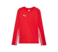 Long Sleeve Jersey Puma TeamLIGA26 2XL