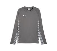 Long Sleeve Jersey Puma TeamLIGA26 XS