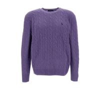 Polo Ralph Lauren Jumpers - male - Polo Ralph Lauren - Round-neck Knitwear - Purple - L - Knitwear L
