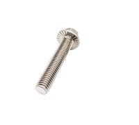 Long Socket Screws, M4 M5 M6 M8 M10 M12 304 Stainless Steel Metric Thread GB5787 Hexagon Head With Serrated Flange Cap Screw Hex Washer Bolt(M6x50mm 5pcs)