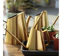 Long Spout Stainless Steel Watering Can Designed for Indoor and Outdoor Use to Reach Plant Roots Precisely for Healthy Growth (1500ML gold)