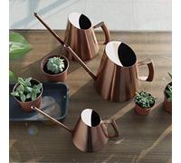 Long Spout Watering Can for Indoor Plants and Bonsai - Copper Design with Narrow Spout