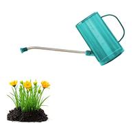 Long Spout Watering Can,Small Watering Can for Indoor Plants, 1000ml Plastic Watering Kettle with Sprinkler Head,Indoor Watering Can for House Plants,Flowers,Bonsai