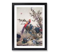 Long-Tailed Bird by Lang Shining Framed Print | A2 Black Framed Wall Art | Ready to Hang | Modern Nature Picture | Living Room Bedroom Lounge Office